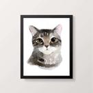 Quadro Ilustração Gato Cinza 24x18cm - com vidro Quadro Ilustração Gato Cinza 24x18cm - com vidro
