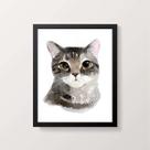 Quadro Ilustração Gato Cinza 24x18cm