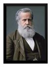 Quadro Imperador Pedro Ii Foto Colorida Monarquia Brasil Quadro Imperador Pedro Ii Foto Colorida Monarquia Brasil