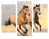 Quadro Impressão Digital 70x120 conjunto de 3 peças cavalos Marrom Atelier Valverde