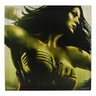 Quadro Injustice Mulher Maravilha - Zona Criativa