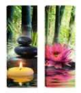 Quadro jardim Japones par 20x60 Atelier Valverde