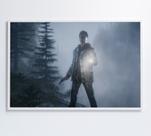 Quadro Jogo Resident Evil