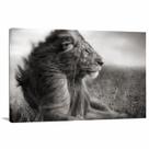 Quadro Leão decorativo em Preto e Branco