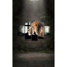 Quadro Leão Fé Jesus 5 Pçs Decorativo Sala Borda Infinita