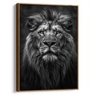 Quadro Leão Majestoso em Olhar Penetrante