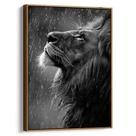 Quadro Leão Majestoso Sobre Chuva de Prata