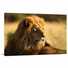Quadro Leão na Natureza decorativo
