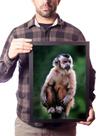 Quadro Macaco Prego Animal Selvagem Decoração Sala