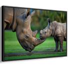 Quadro Mamãe Rinoceronte e Filhote