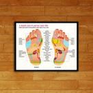 Quadro Mapa ReflexologiaPodal 24x18cm - com vidro