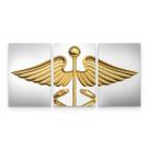 Quadro Medicina Contabilidade Caduceu Dourado Quadro Medicina Contabilidade Caduceu Dourado