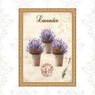 Quadro Moldura Dourada Vasinhos De Lavanda 24x18cm