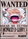 Quadro Monkey D. Luffy Dead Or Alive Marine-D