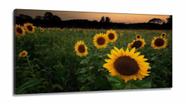 Quadro Mosaico Flores Girassol em Tecido Canvas 130x60 sala quarto