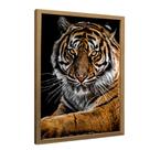 Quadro Motivacional a Face do Tigre