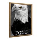 Quadro Motivacional Foco da Águia