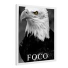 Quadro Motivacional Foco da Águia Quadro Motivacional Foco da Águia