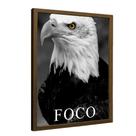 Quadro Motivacional Foco da Águia Quadro Motivacional Foco da Águia
