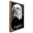 Quadro Motivacional Foco da Águia Quadro Motivacional Foco da Águia