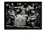 Quadro Musculação Poster Moldurado Decoração Academia Quadro Musculação Poster Moldurado Decoração Academia