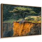 Quadro Natureza Resiliente em Penhasco Abrupto e Solitário