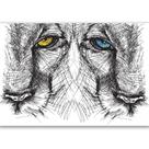 Quadro Olhos De Leão Desenhado