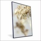Quadro Orquidea Nude Canvas Sem Vidro Quadro Orquidea Nude Canvas Sem Vidro