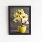 Quadro Orquídeas Amarelas Flor em Vaso Moldura Preta 60x40cm