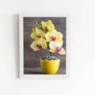 Quadro Orquídeas Amarelas Flor Vaso Moldura Branca 60x40cm