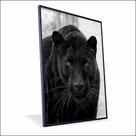 Quadro Pantera Negra Vinil Sem Vidro Quadro Pantera Negra Vinil Sem Vidro