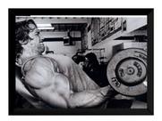 Quadro Para Academia Arnold Schwarzenegger Poster Moldurado