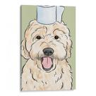 Quadro Para Banheiro - O Cachorro Levou o Papel Higiênico Quadro Para Banheiro - O Cachorro Levou o Papel Higiênico