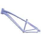Quadro Para Bike Aro 26 Brutus 3 Dirt Freeride Wheeling Gancheira Vertical Absolute