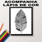 Quadro Para Colorir Pena Tribal 45x34cm Quadro Para Colorir Pena Tribal 45x34cm