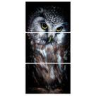 Quadro para Sala Coruja Decorativo Parede Quarto Kit Moderno