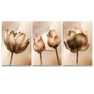 Quadro Para Sala Flores Cobre Gold Kit - 3 telas 40x60cm