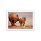 Quadro para Sala Foto Safari Rinoceronte Moldura Branca 33x43cm