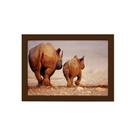 Quadro para Sala Foto Safari Rinoceronte Moldura Marrom 33x43cm