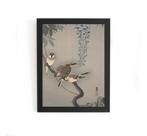 Quadro Pardais De Anel Em Glicínias, Ohara Koson 1900-1936