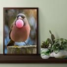 Quadro Passarinho Bubble Gum 33x24cm - com vidro