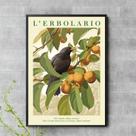 Quadro Passarinho Preto Com Frutos 45x34cm
