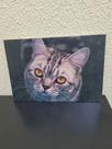 Quadro Personalizado em MDF 20 x 29 com Ilustração de Gato