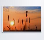 Quadro por do sol