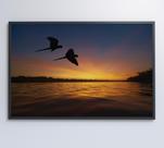 Quadro Por do sol no Pantanal Quadro Por do sol no Pantanal