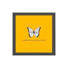 Quadro Quadrado Borboleta Universo 20x20cm