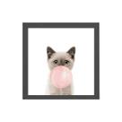Quadro Quadrado Gatinho Bola Chiclete 20x20cm Quadro Quadrado Gatinho Bola Chiclete 20x20cm