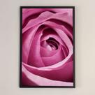 Quadro Rosa c/ moldura - 60x90 cm