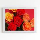 Quadro Rosa Tons de Laranja Foto Moldura Branca 60x40cm