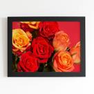 Quadro Rosa Tons de Laranja Foto Moldura Preta 60x40cm